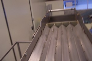 Website foto 017
